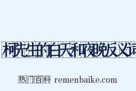 柯先生的白天和夜晚反义词是什么意思的图片